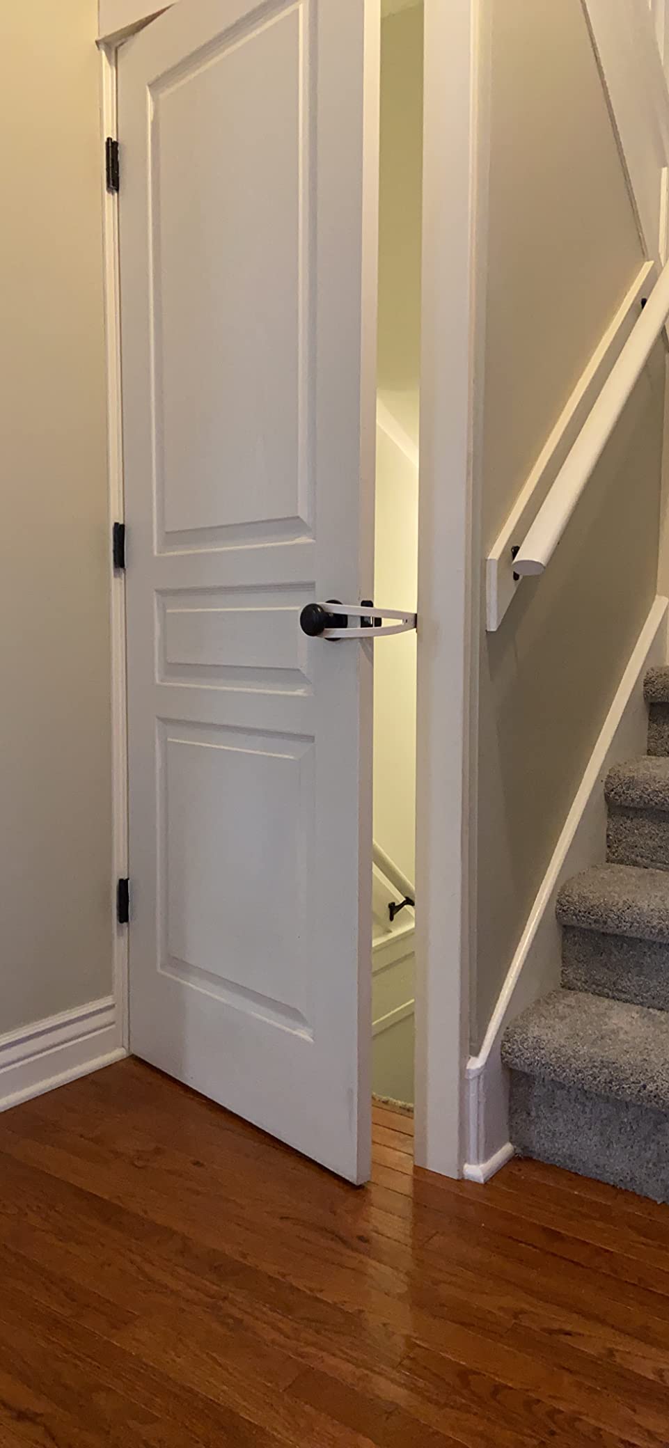 FlexLatch XL Cat Door Latch - Flexible Pet Door Strap Keeps Dogs Out, Lets Cats In (No Tools, No Measuring)